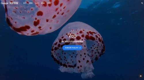 FireShot Capture 3000 - 我明白了 - 谷歌 DeepMind --- Veo - Google DeepMind - deepmind.google.jpg