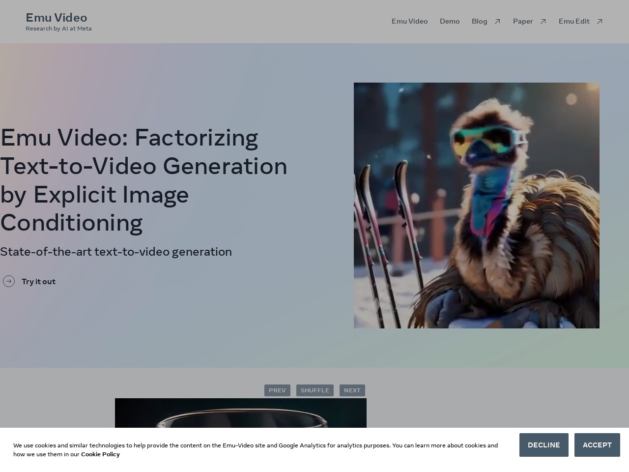 Emu Video