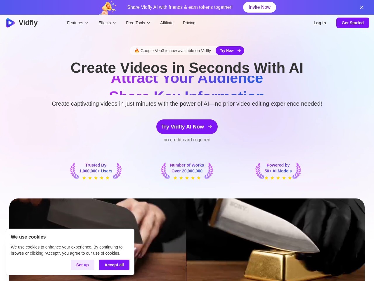 Vidfly AI